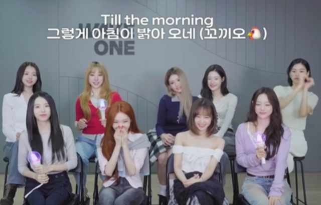〈갑자기〉 응원하는 말이 닭 울음소리로 나를 놀라게 했다. 아이오아이(I.O.I)는 응원 교육 영상을 녹화하고 웃음을 참지 못했다. 대표 이미지
